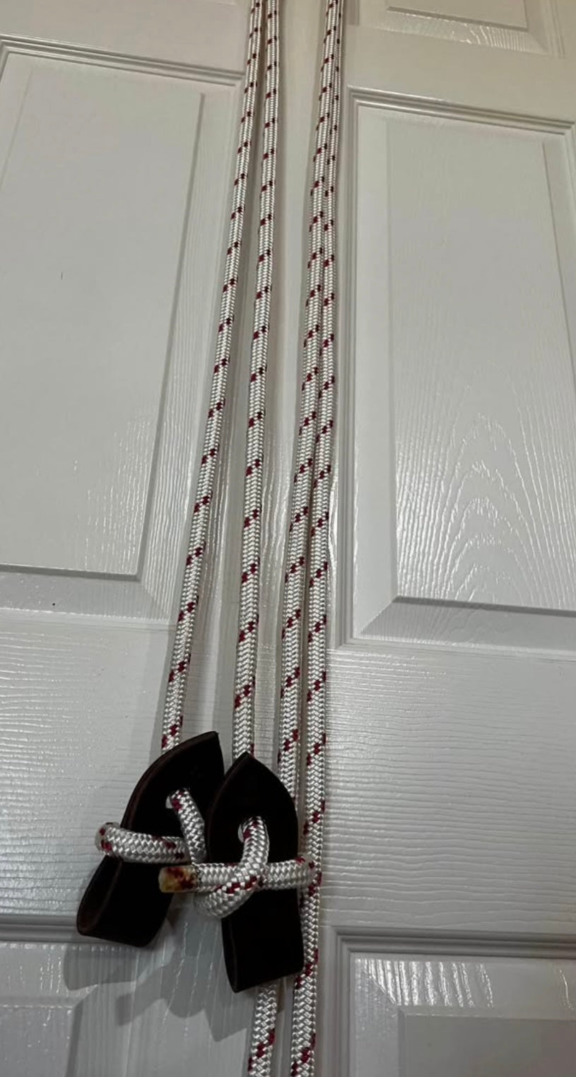 Reins