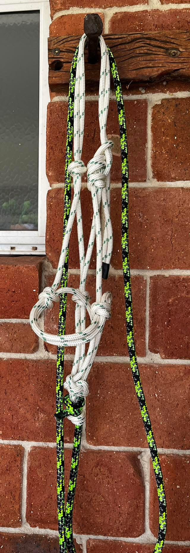 8mm Halter and Lead