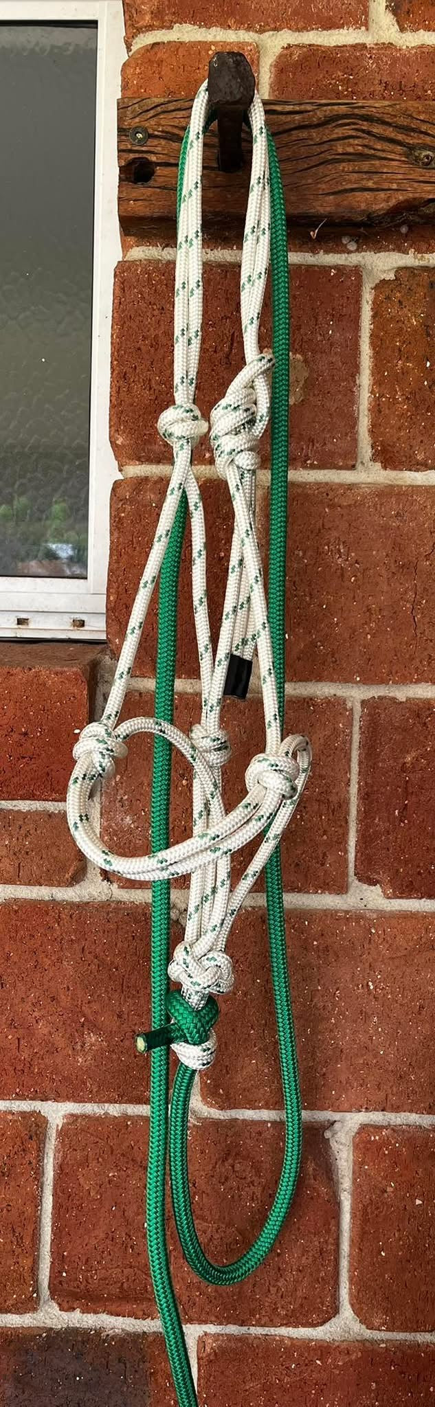 8mm Halter and Lead