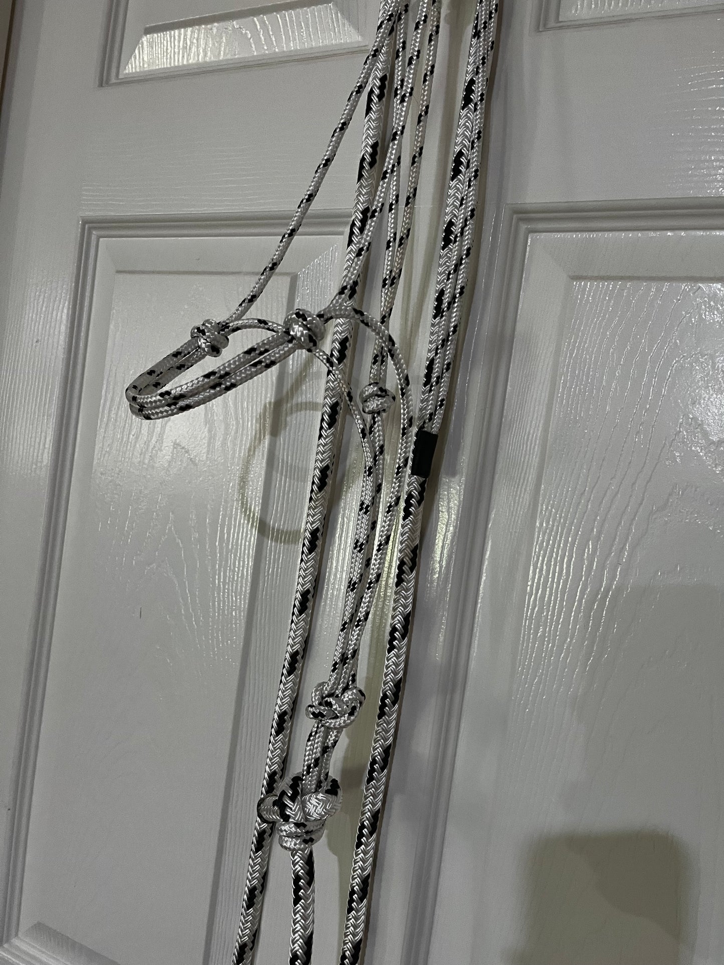 6mm Halter and lead