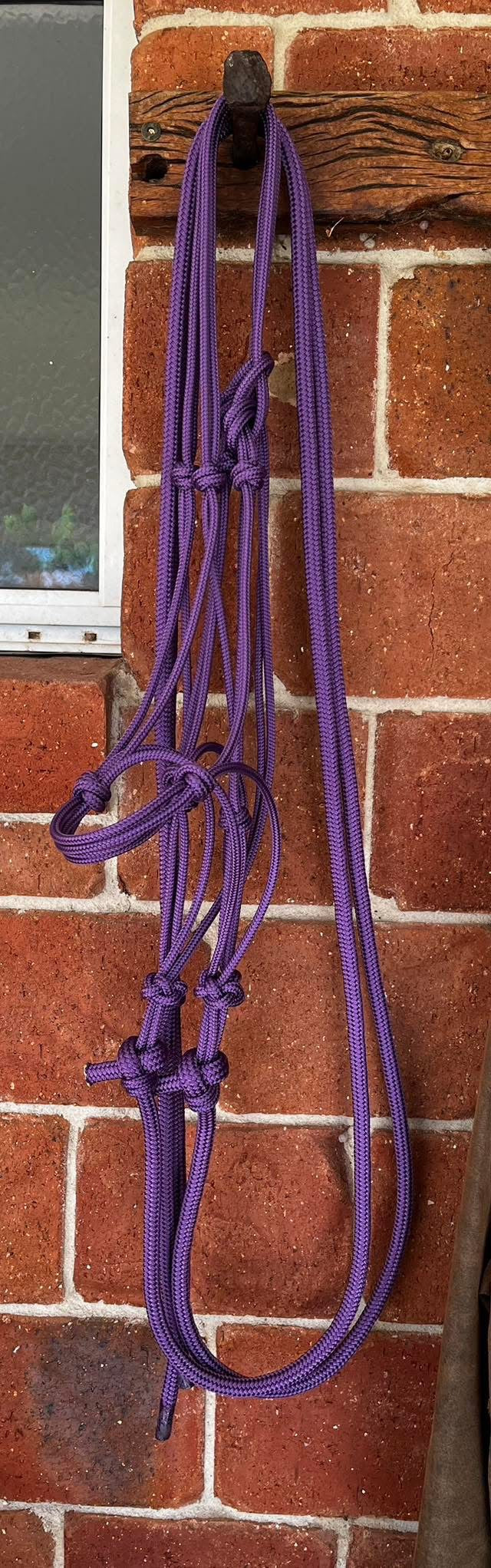 6mm Halter and lead