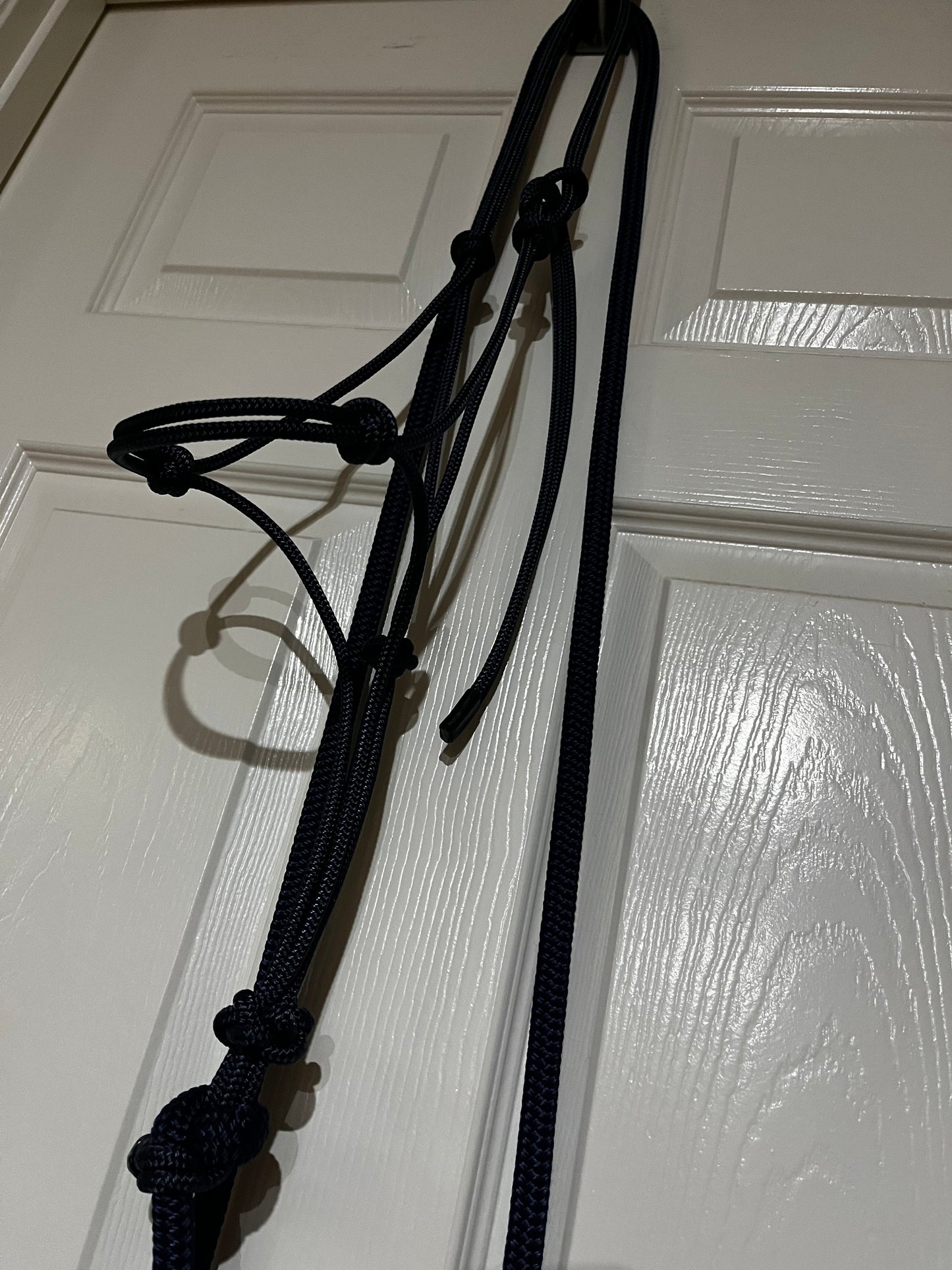 6mm Halter and lead