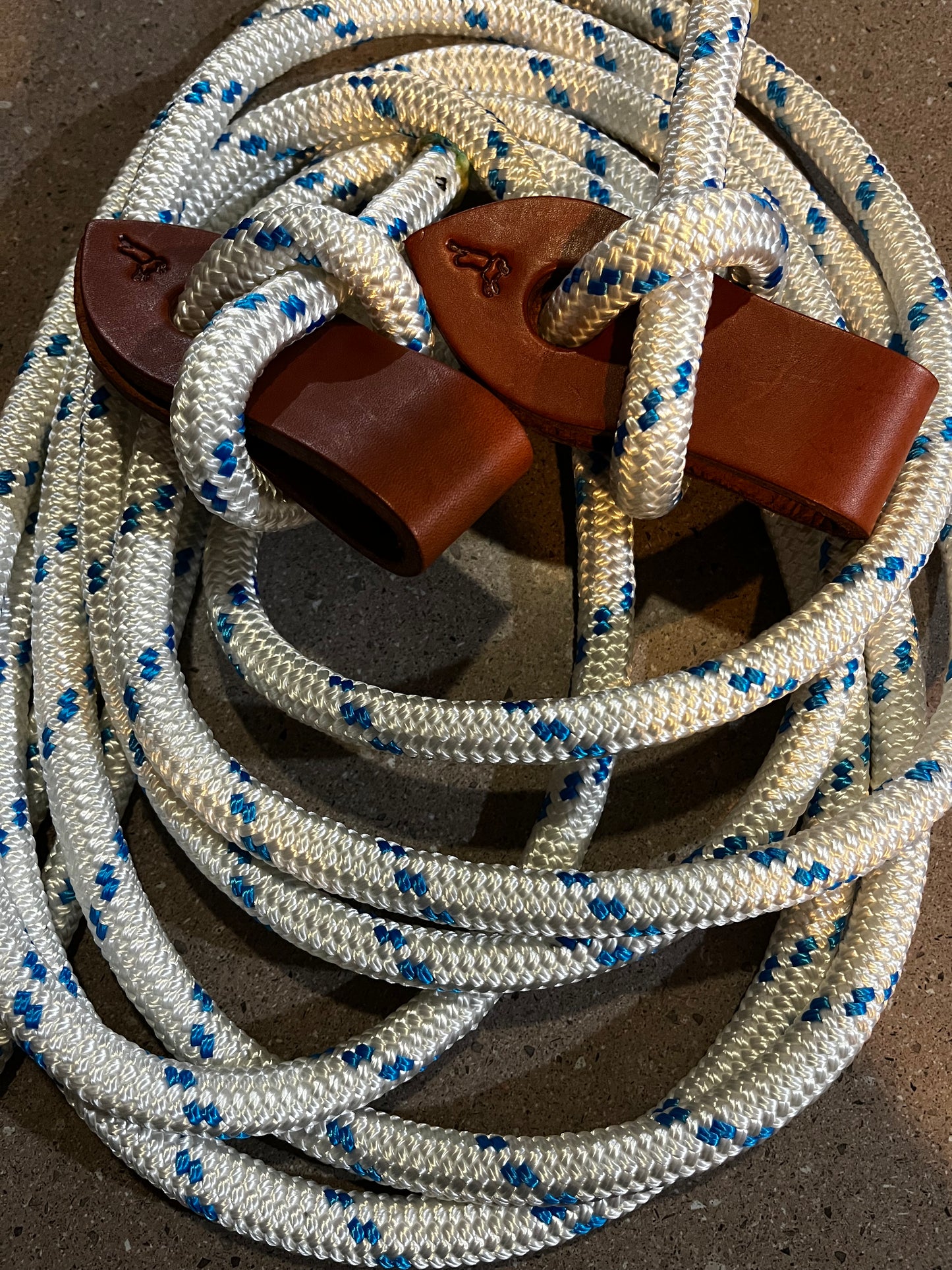 Reins