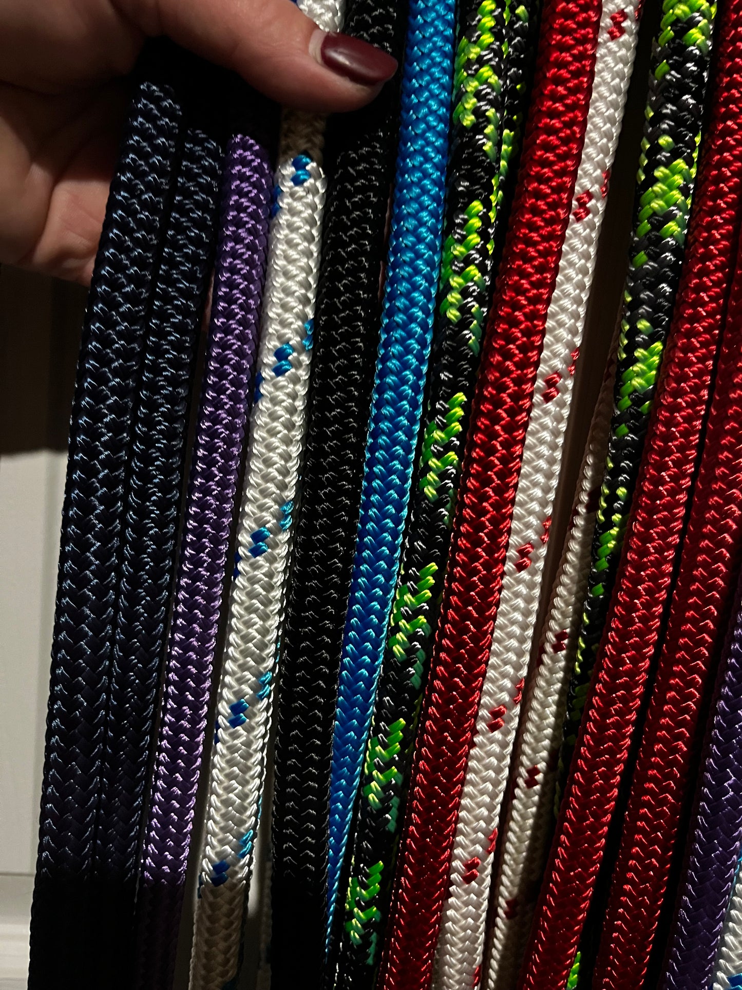 Reins