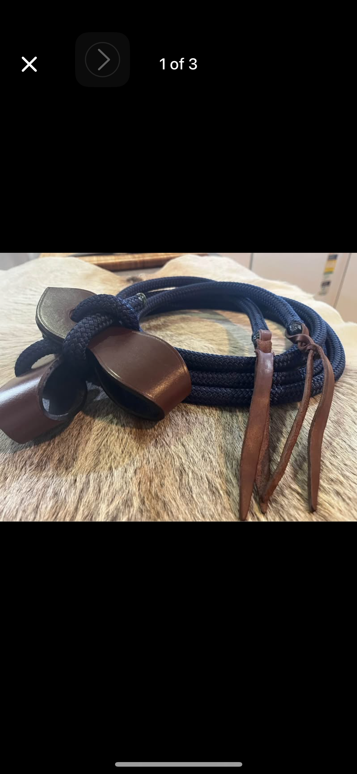 Reins