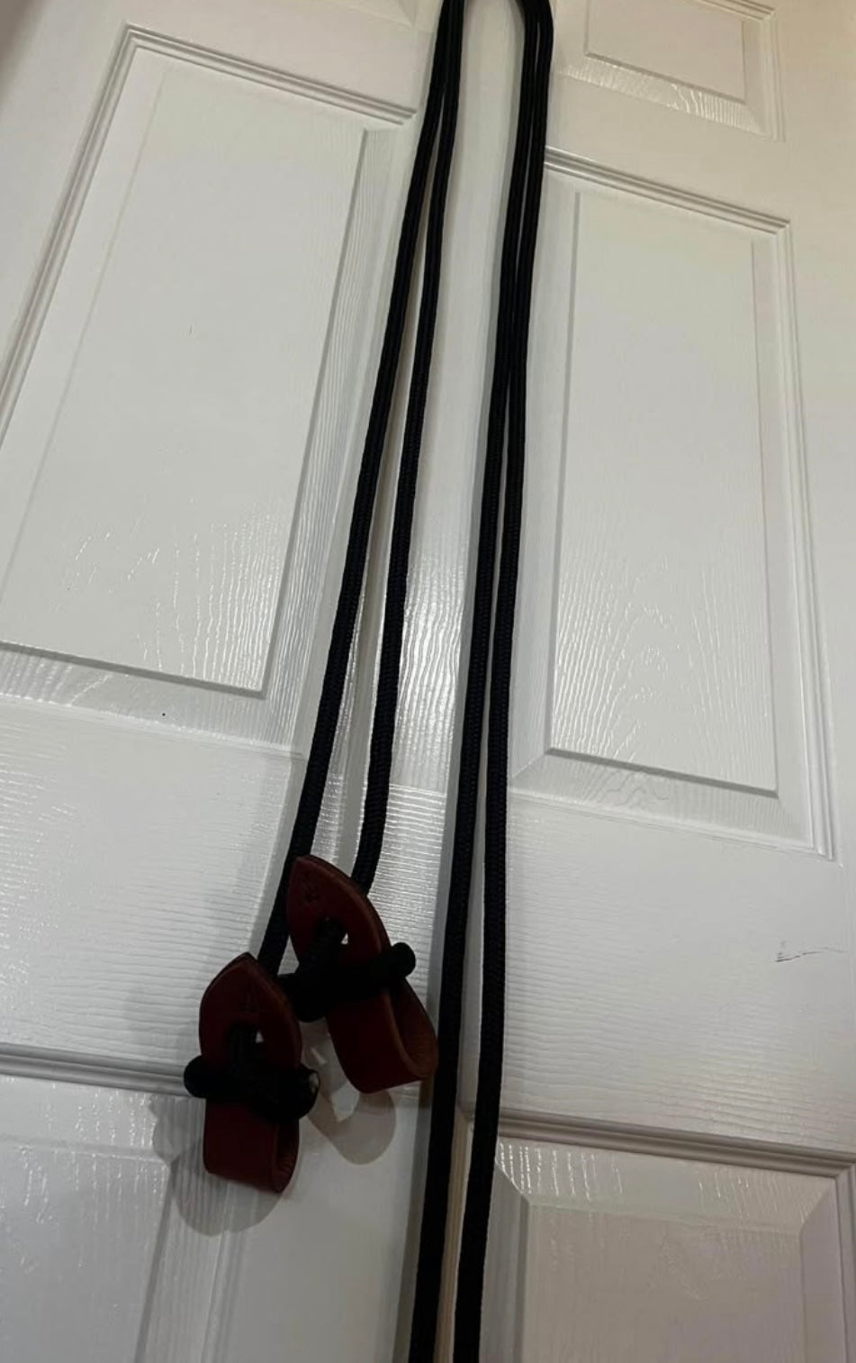 Reins