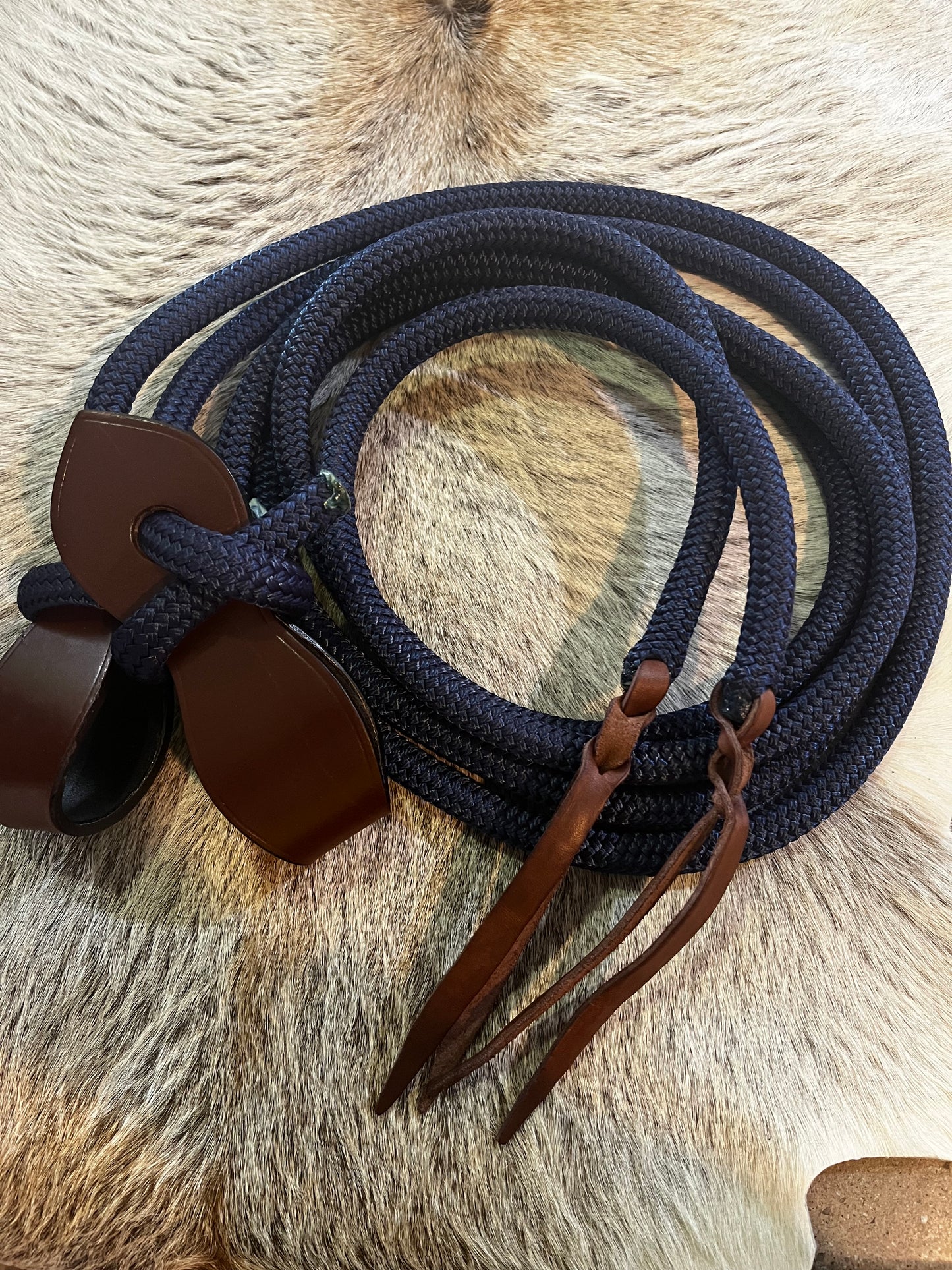 Reins