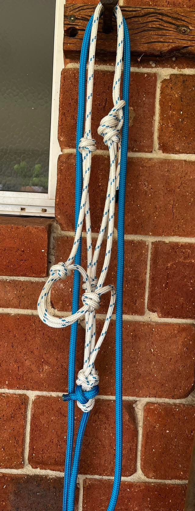 8mm Halter and Lead