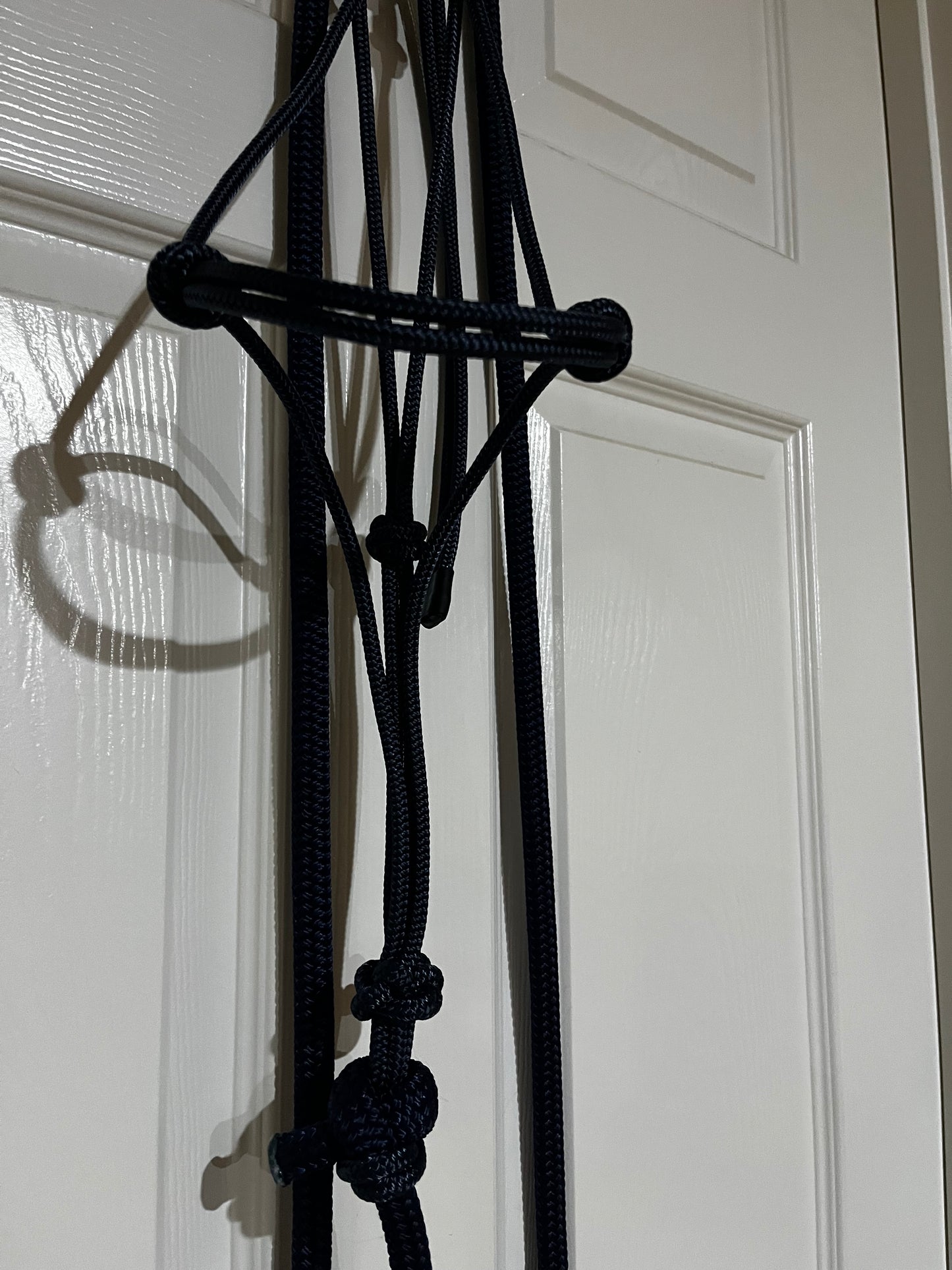 6mm Halter and lead