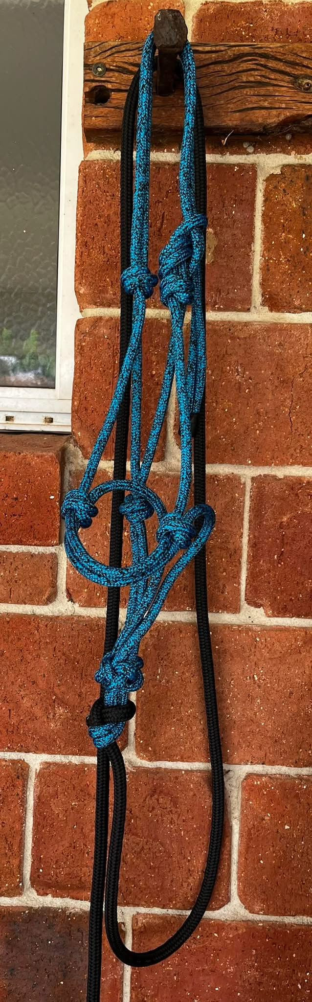 8mm Halter and Lead