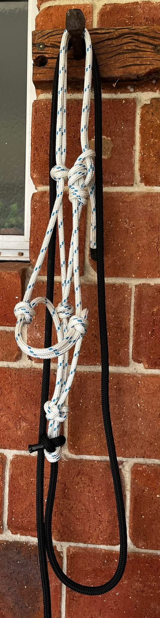 8mm Halter and Lead