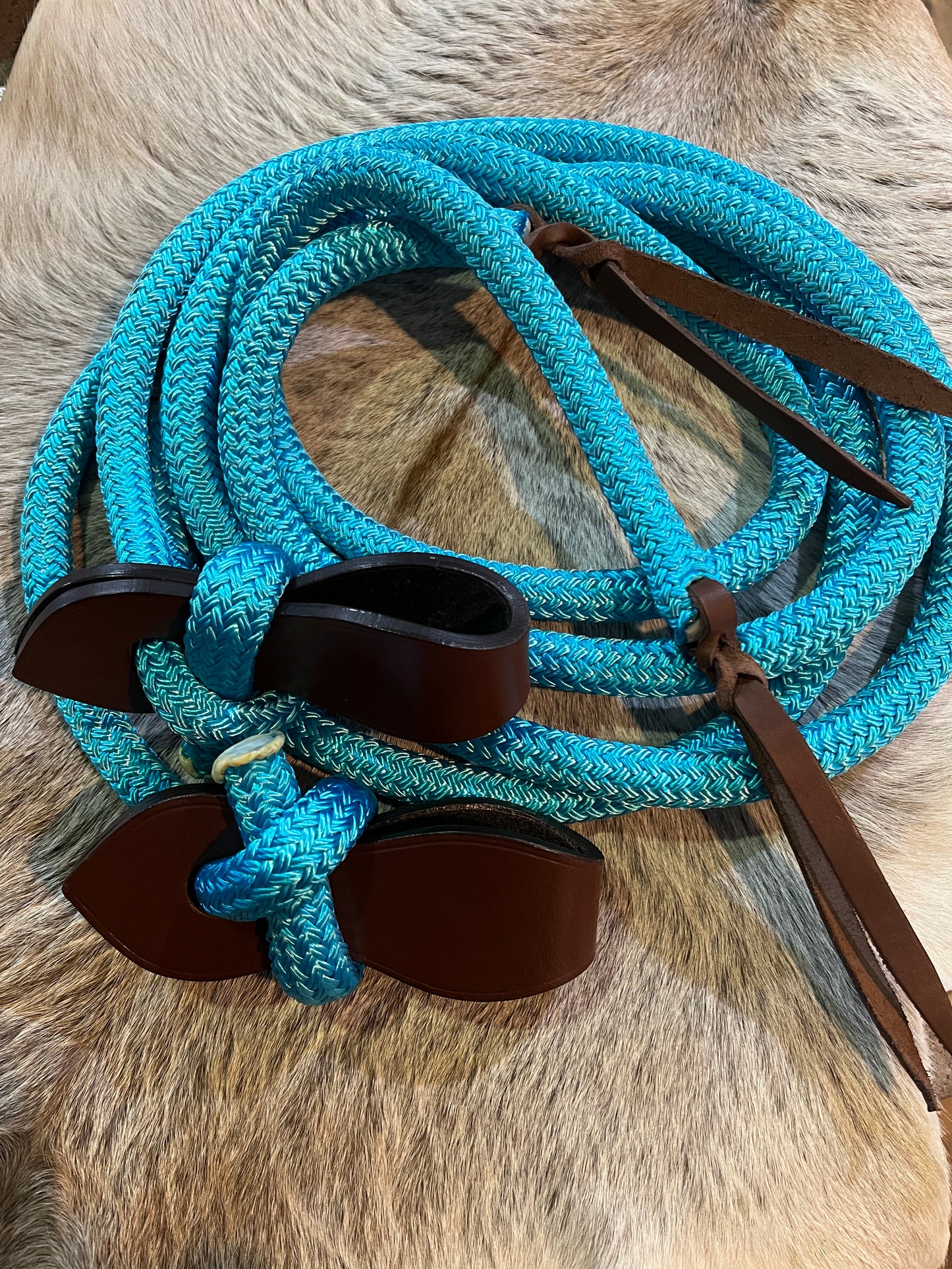 Reins